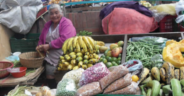 ¿Se reconocen los pobladores rurales como campesinos?