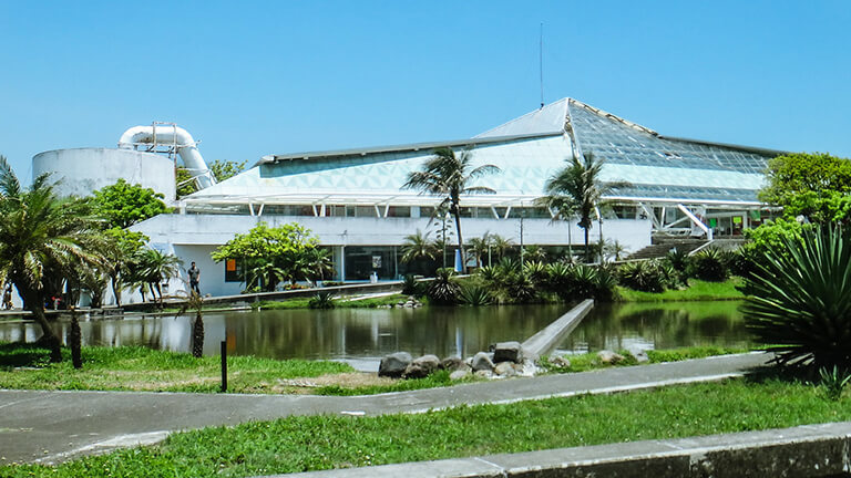 Universidad Veracruzana