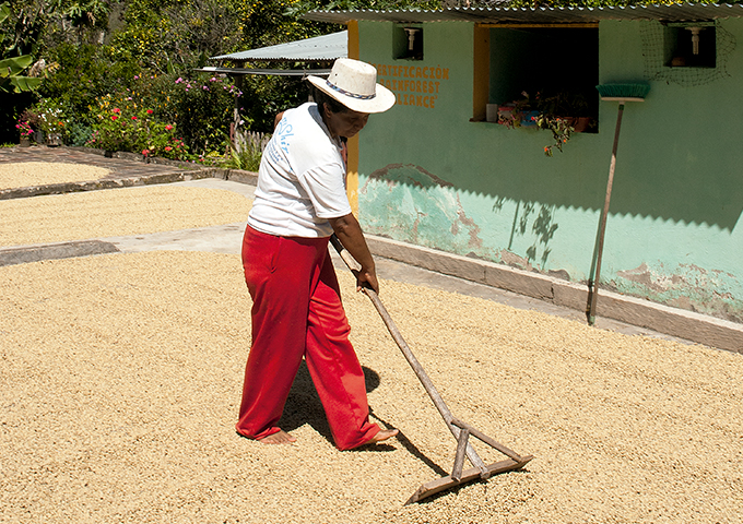 Alberto Sierra, Milagro Castro