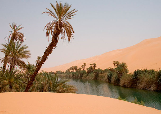 Oasis-en-el-Sahara-De-I-Luca-Galuzzi-CC-BY-SA-2-edit