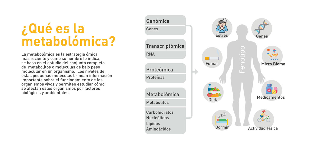 Logos de patrocinadores