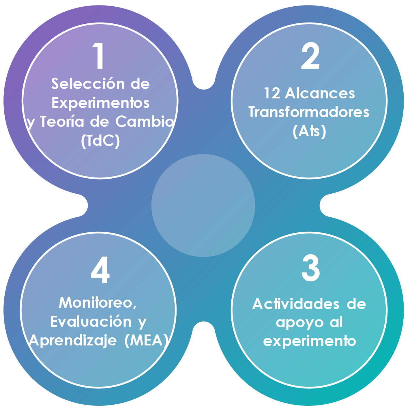 grafico-metodologia hub