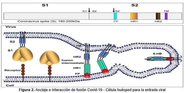 col1im3der