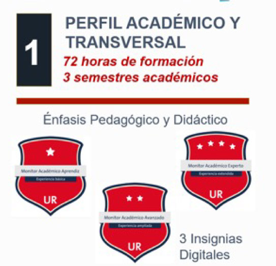 Perfil académico y transversal