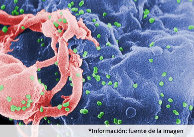 etica-sida-libertad-y-economia.jpg