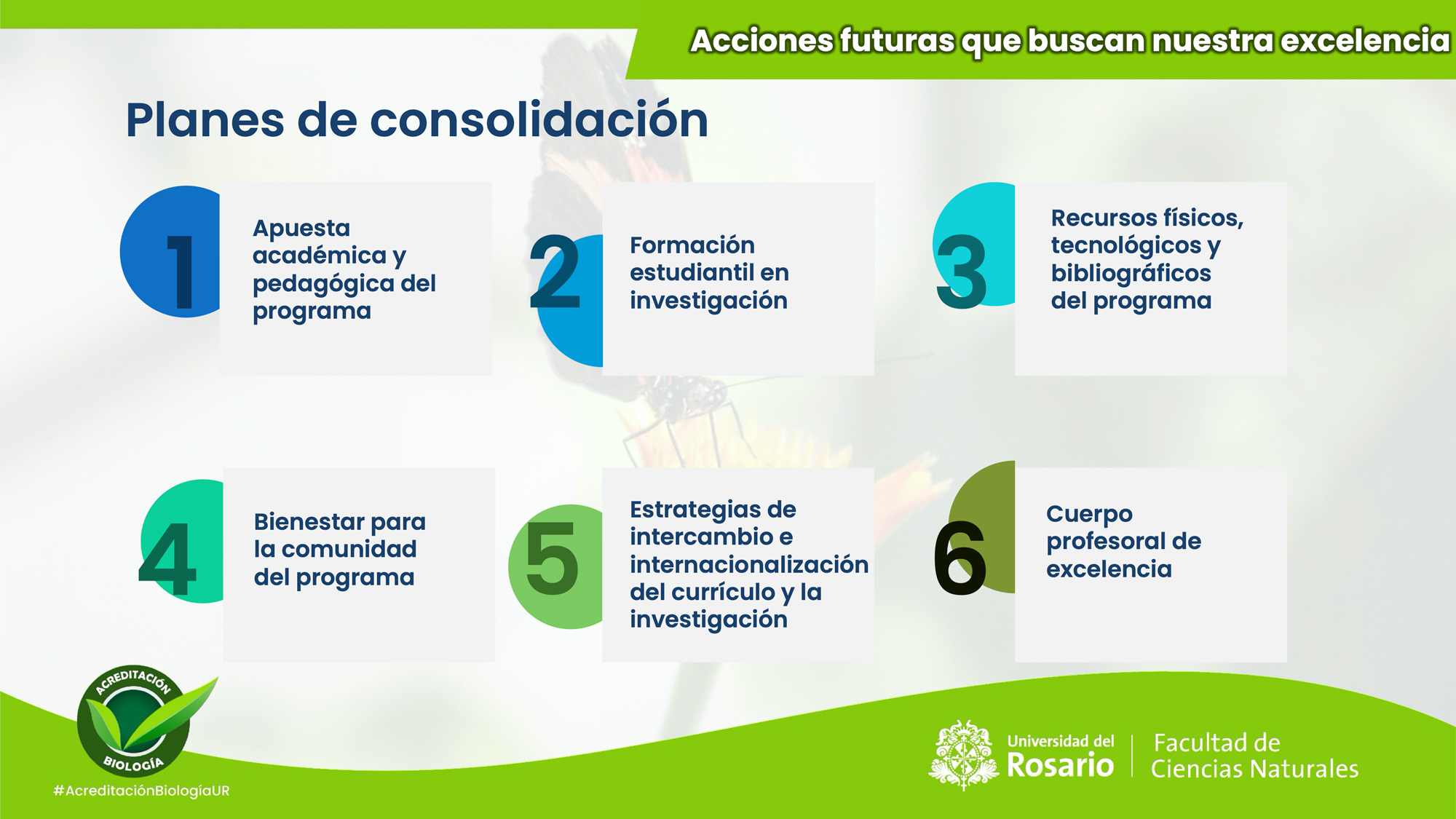 Acciones futuras que buscan nuestra excelencia