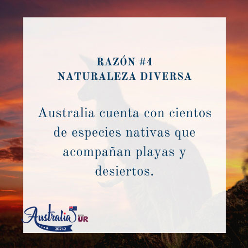 Multiculturalismo - Razón 04 para estudiar en Australia