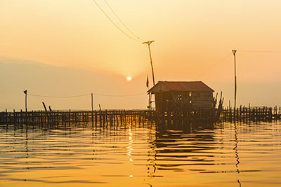 atardecer-cienaga