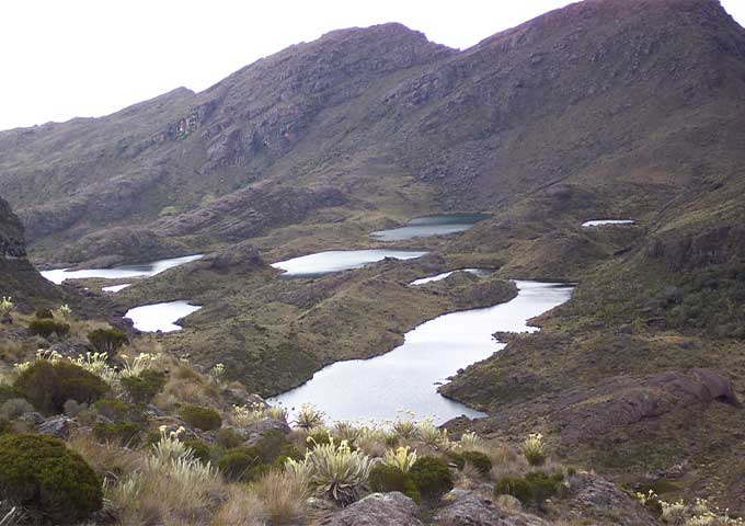 paramo-de-sumapaz