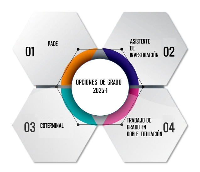 Opciones de trabajo de grado