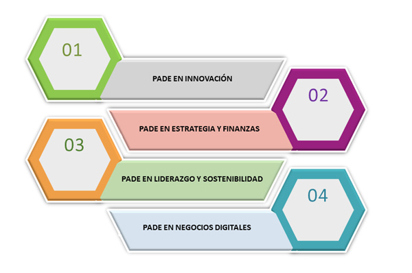 Opciones de trabajo de grado