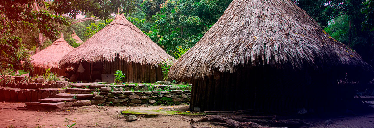 Grupo de acciones Públicas