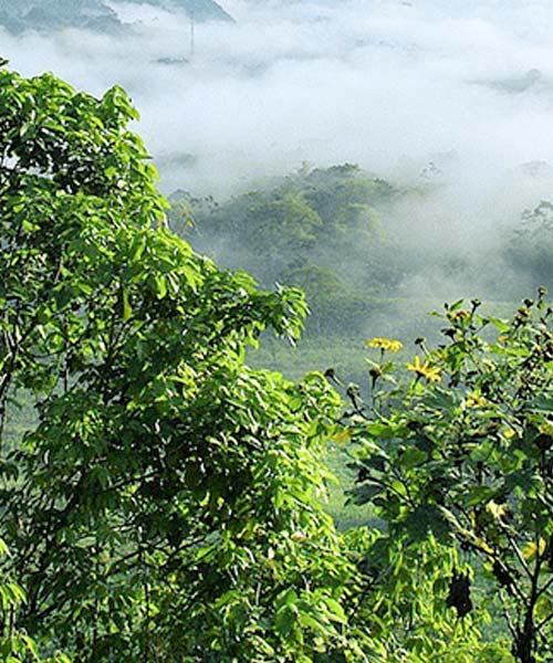 Reconciliando la Paz y el Medio Ambiente