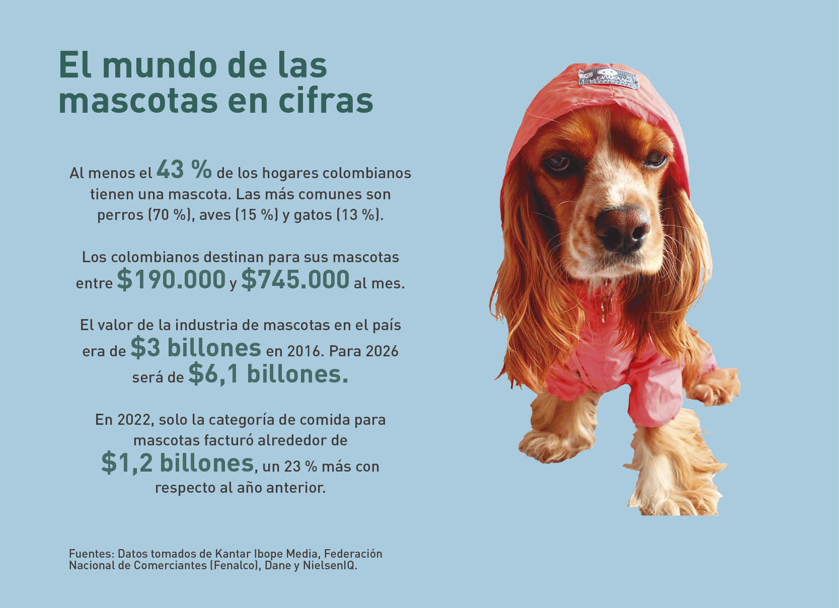 el mundo de las mascotas en cifras