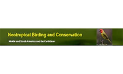 Neotropical-Birding-and-Consevation