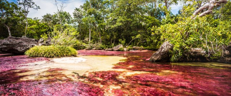 ruta-pais-caño.cristales