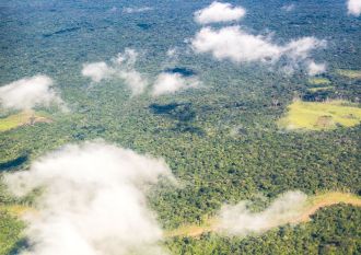 Selva desde el aire